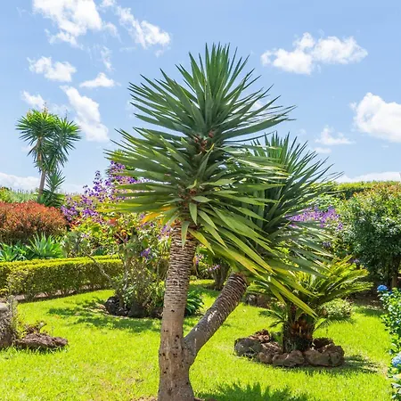 Azores Dreams - Sea View House Πόντα Ντελγκάντα