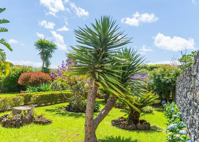 Azores Dreams - Sea View House Ponta Delgada (Sao Miguel)